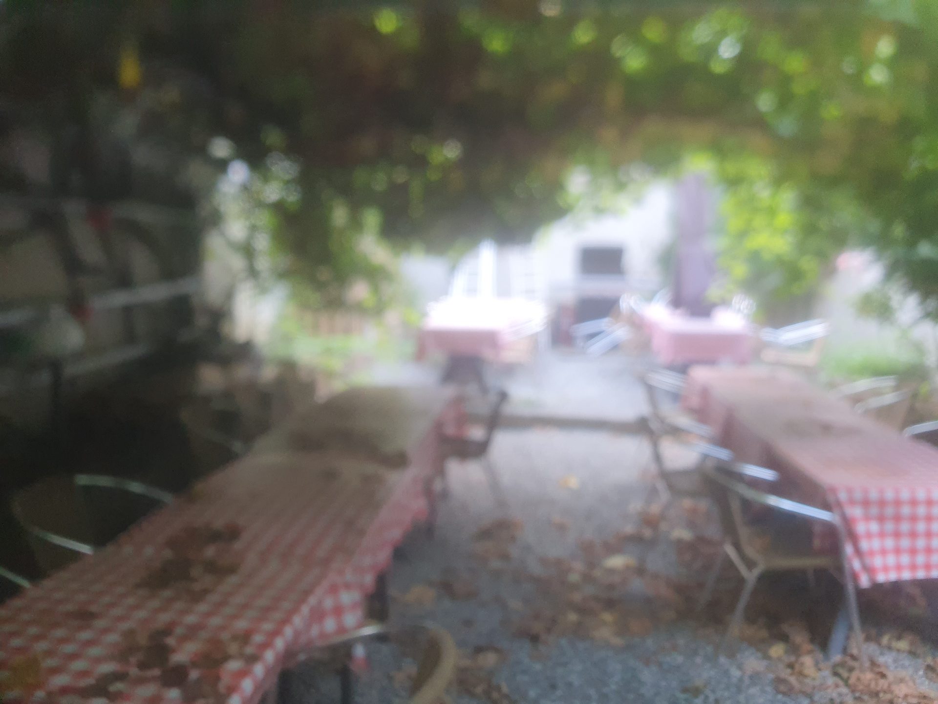 Restaurant - Pizzeria